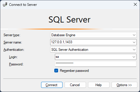 View an SQL Server database running in a local container